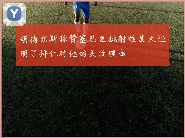 胡梅尔斯称赞塞巴里挑射难度大证明了拜仁对他的关注理由