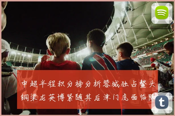 中超半程积分榜分析蓉城独占鳌头铜梁龙英博紧随其后津门虎面临降级危机