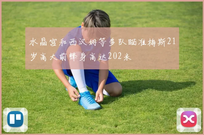 水晶宫和西汉姆等多队瞄准梅斯21岁高大前锋身高达202米